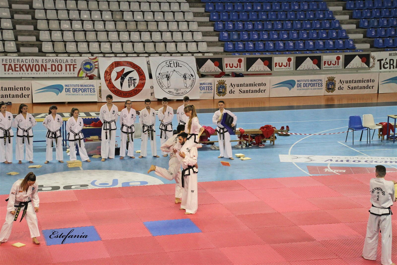 Taekwondo (223).jpg